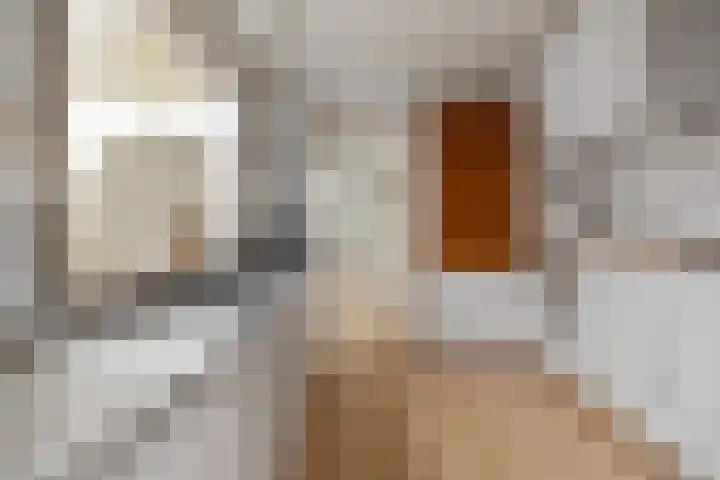 Ambonstraat 72 Den Helder thumbnail 6