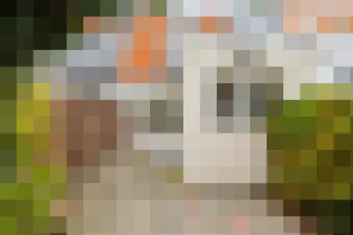 Ambonstraat 72 Den Helder thumbnail 8