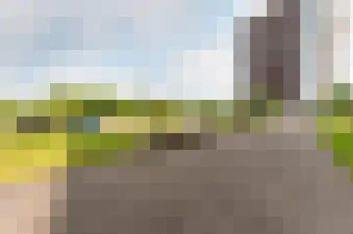 Ambonstraat 76 Almere thumbnail 31