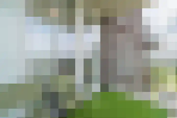 Ambonstraat 78 Almere thumbnail 30