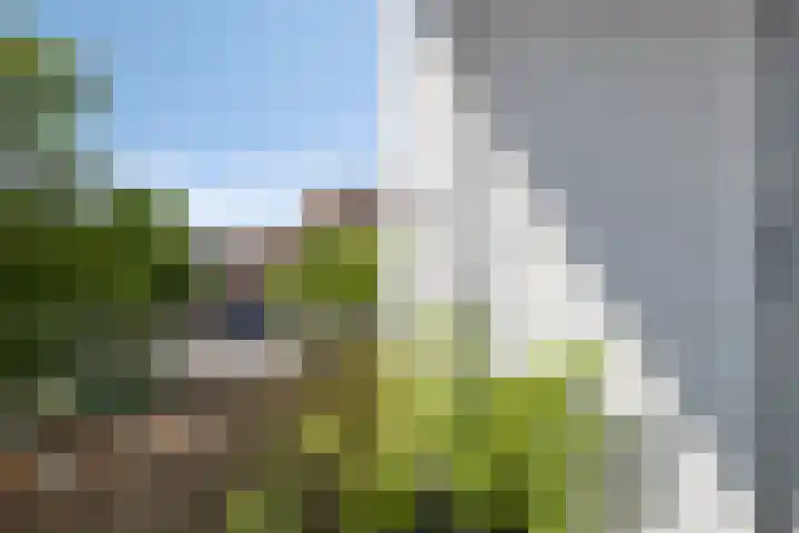 Ambonstraat 82 Alphen aan den Rijn thumbnail 14