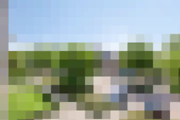 Ambonstraat 82 Alphen aan den Rijn thumbnail 32