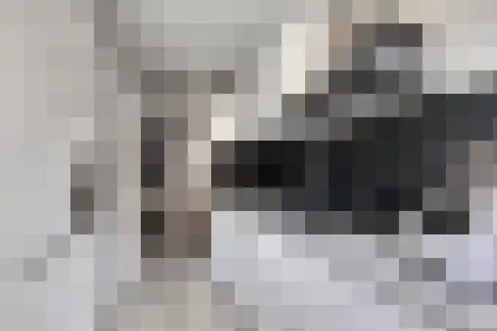 Ambonstraat 82 Alphen aan den Rijn thumbnail 9