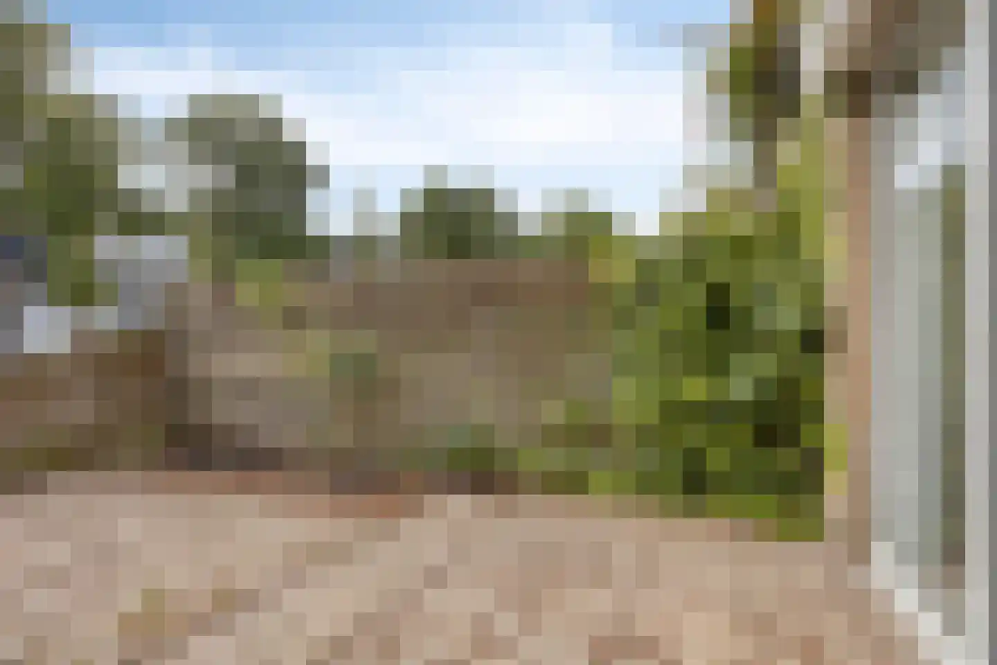 Ambrosiadal 3 Leiden thumbnail 33