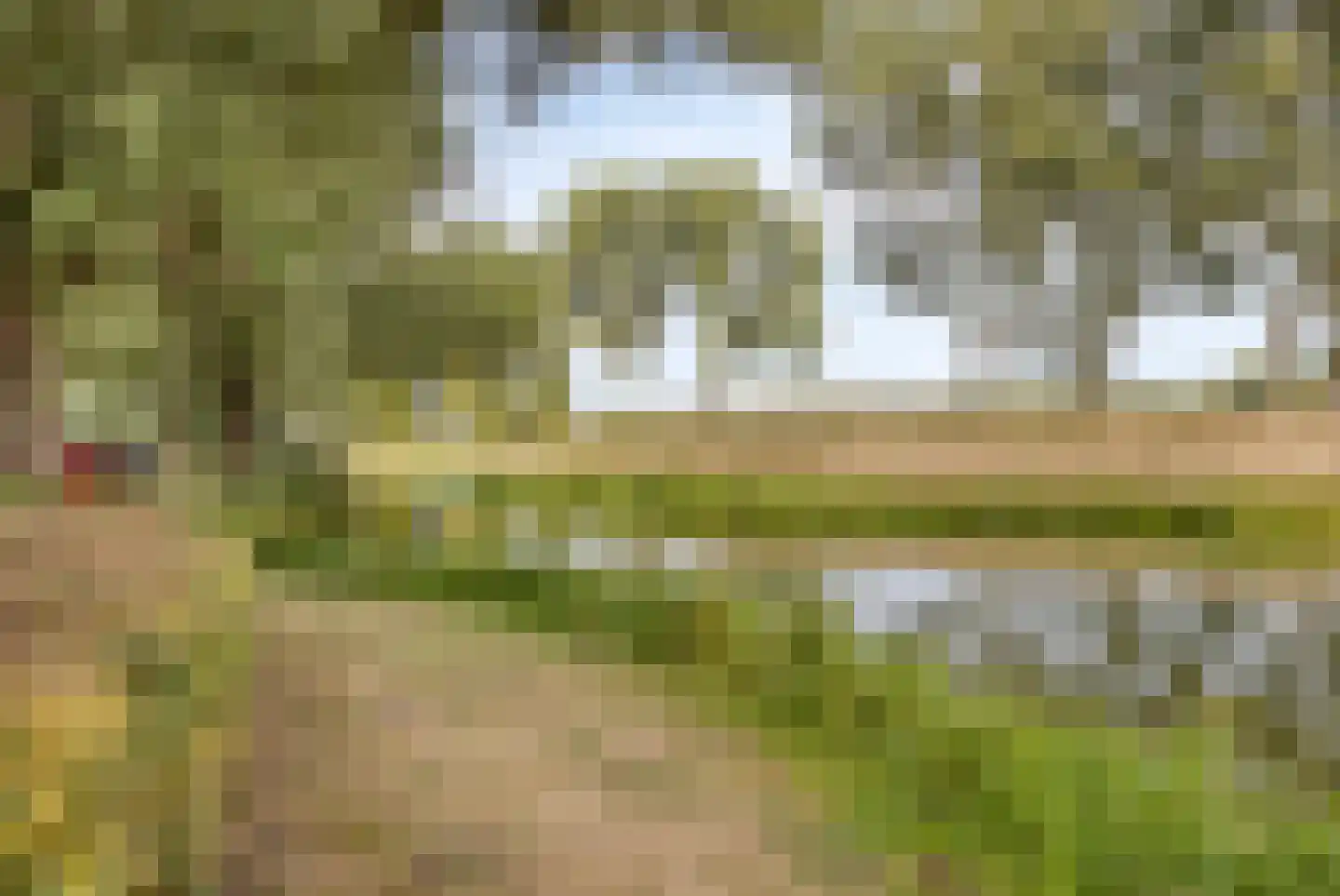Ambrosiadal 3 Leiden thumbnail 39