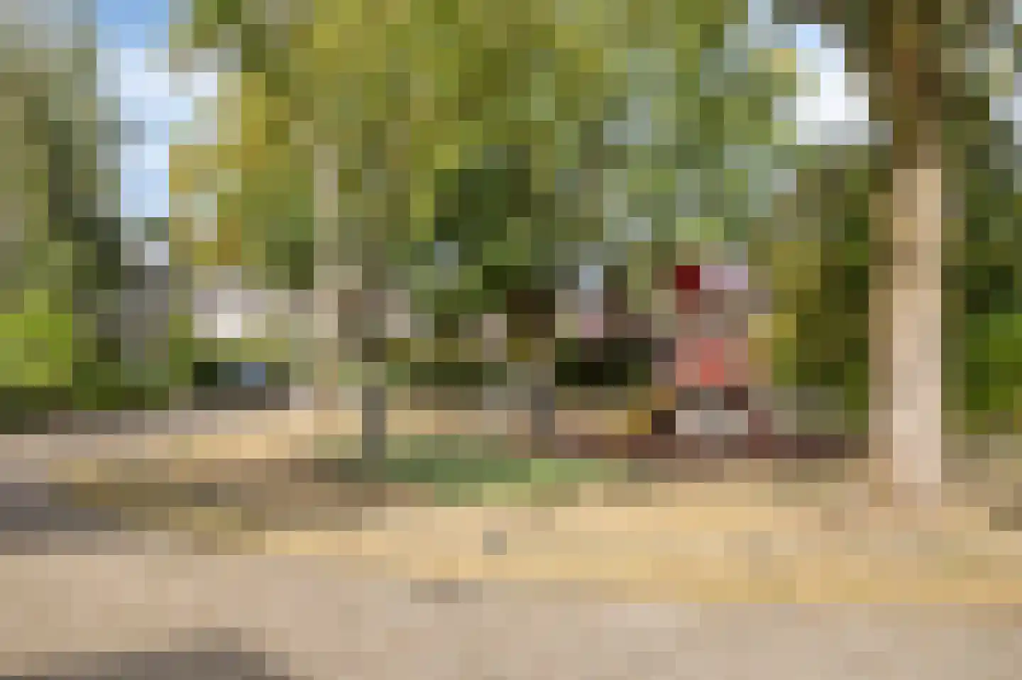 Ambrosiadal 3 Leiden thumbnail 41