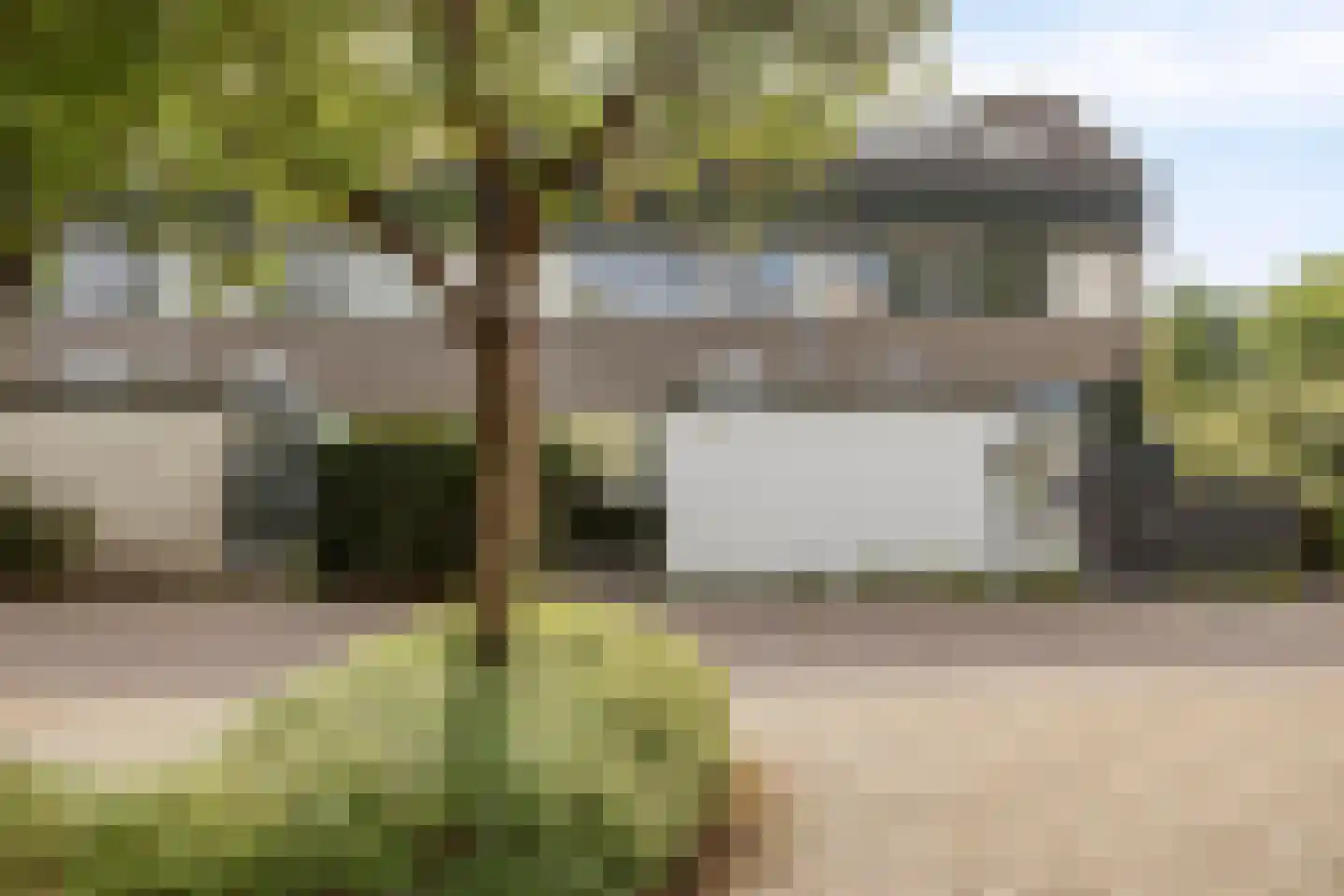 Ambrosiadal 3 Leiden thumbnail 8