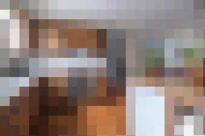 Ambrosius van Ommerenlaan 30 Barneveld thumbnail 11