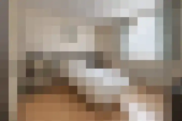 Ambrosius van Ommerenlaan 30 Barneveld thumbnail 16