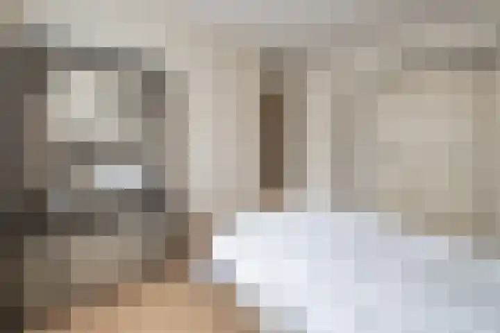 Ambrosius van Ommerenlaan 30 Barneveld thumbnail 17