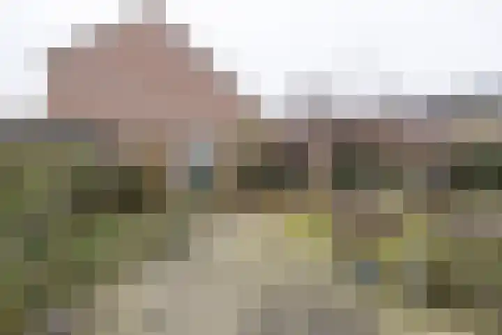 Ambrosius van Ommerenlaan 30 Barneveld thumbnail 28