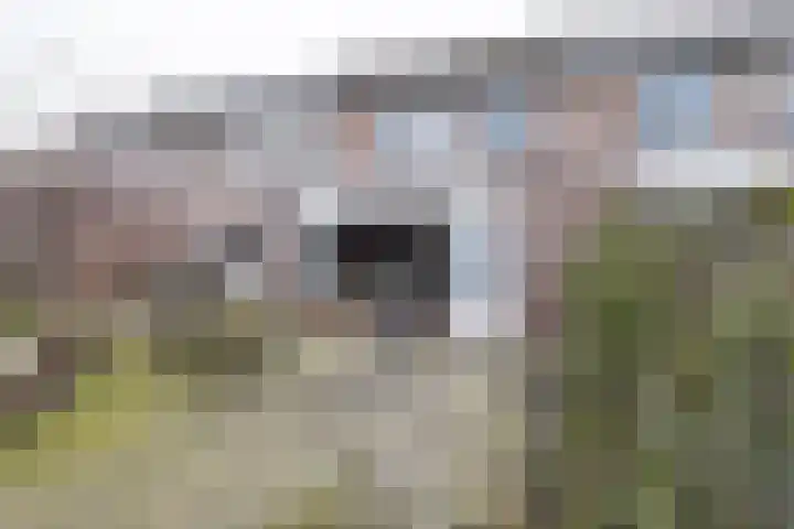 Ambrosius van Ommerenlaan 30 Barneveld thumbnail 30