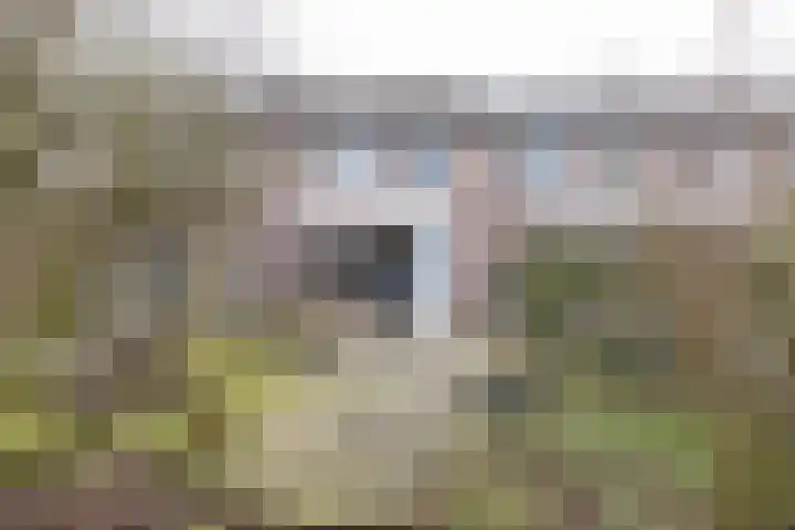 Ambrosius van Ommerenlaan 30 Barneveld thumbnail 32