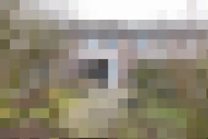 Ambrosius van Ommerenlaan 30 Barneveld thumbnail 33
