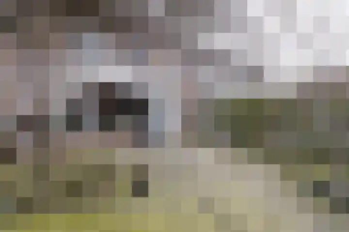 Ambrosius van Ommerenlaan 30 Barneveld thumbnail 34