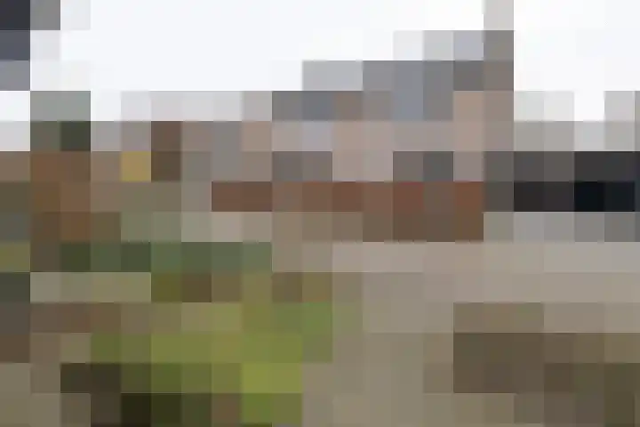 Ambrosius van Ommerenlaan 30 Barneveld thumbnail 37