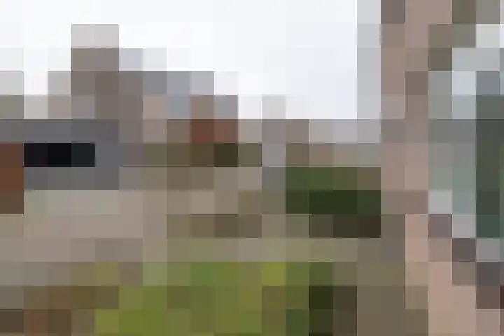 Ambrosius van Ommerenlaan 30 Barneveld thumbnail 38