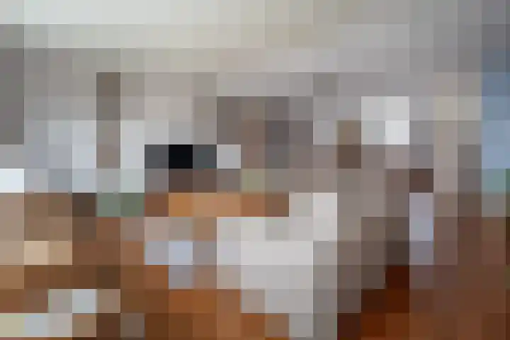 Ambrosius van Ommerenlaan 30 Barneveld thumbnail 4