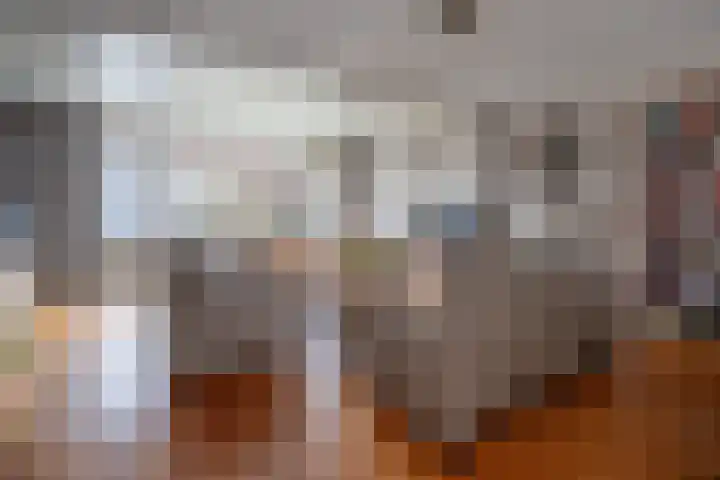 Ambrosius van Ommerenlaan 30 Barneveld thumbnail 5