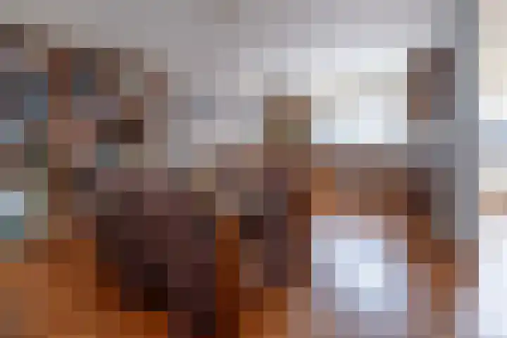 Ambrosius van Ommerenlaan 30 Barneveld thumbnail 8