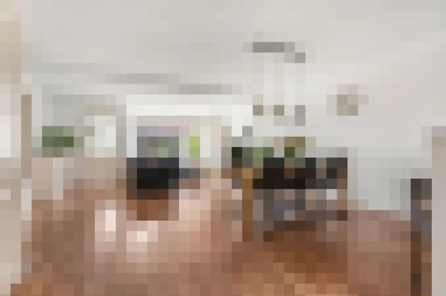 Ambrosius van Ommerenlaan 32 Barneveld thumbnail 8