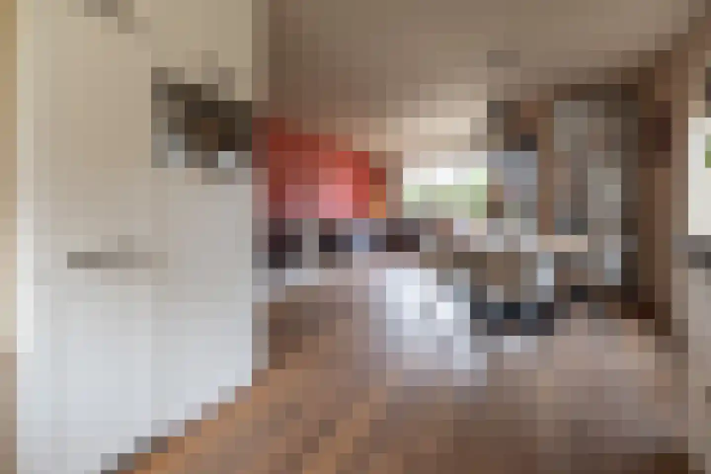 Ambrosius van Ommerenlaan 67 Barneveld thumbnail 14