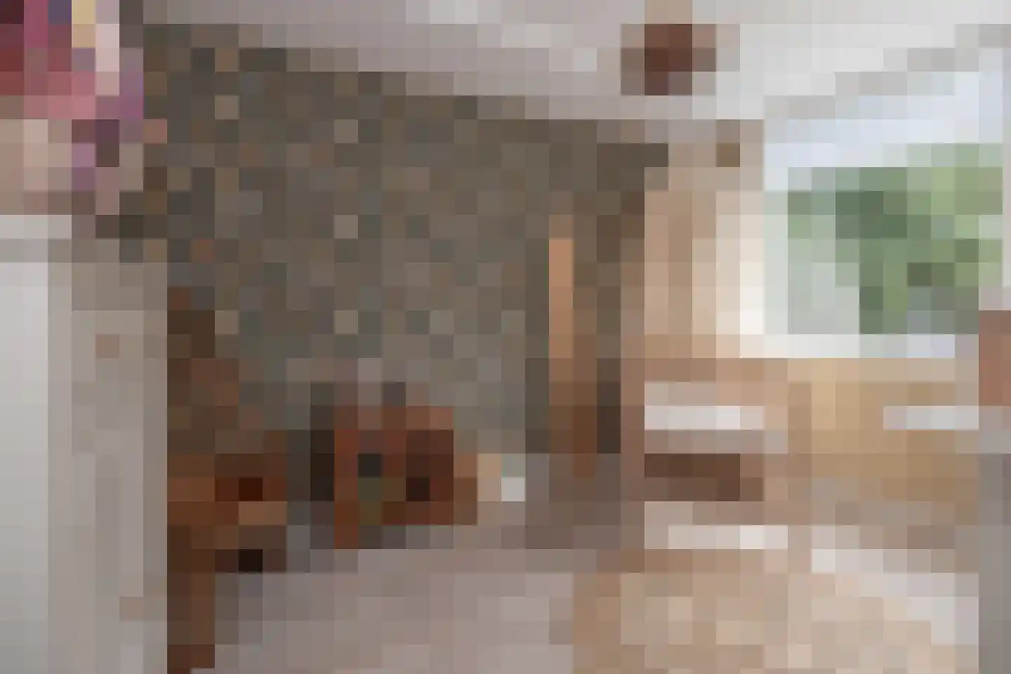 Ambrosius van Ommerenlaan 67 Barneveld thumbnail 26