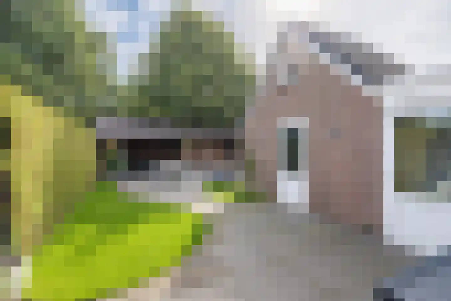 Ambrosius van Ommerenlaan 67 Barneveld thumbnail 38