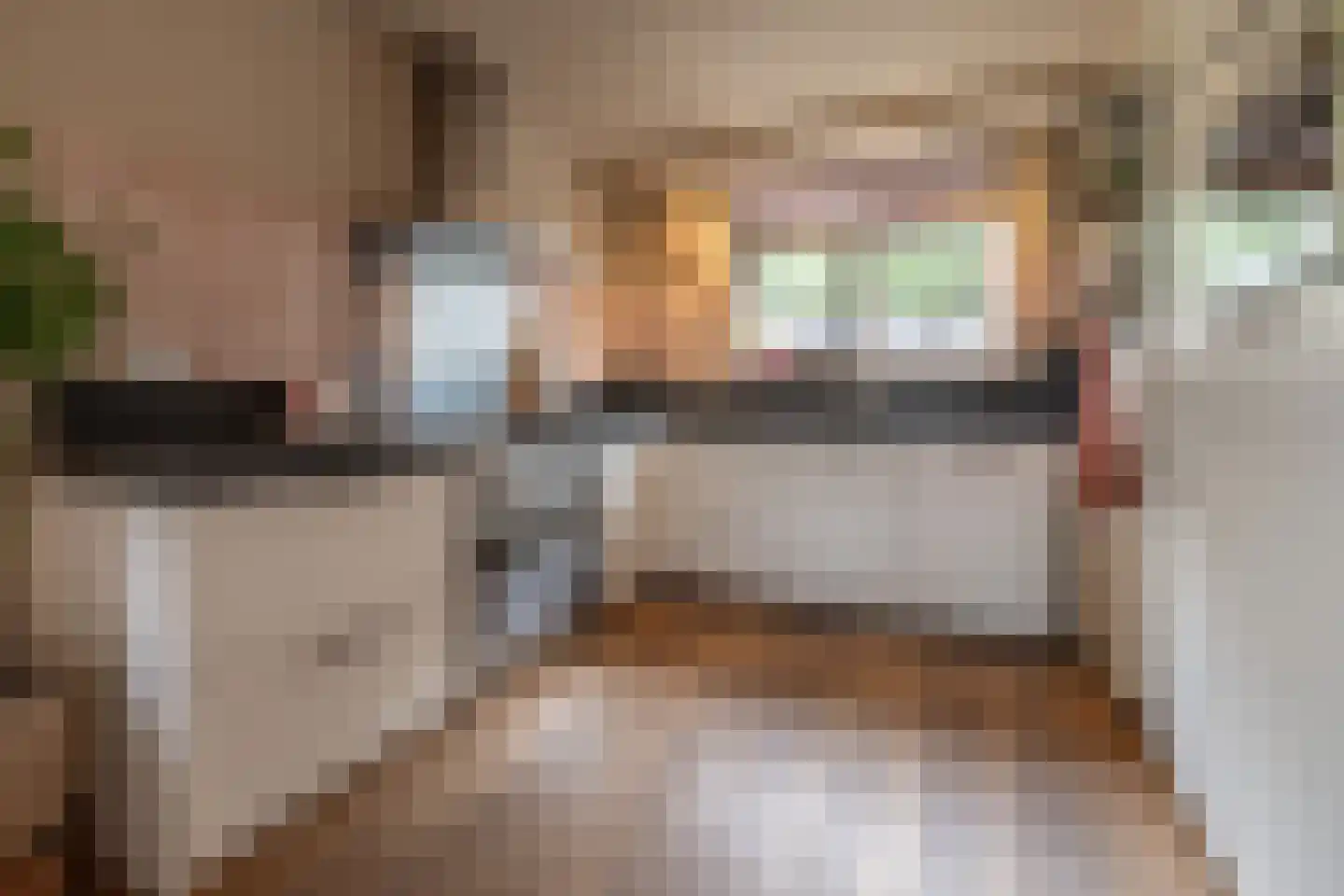 Ambrosius van Ommerenlaan 67 Barneveld thumbnail 4