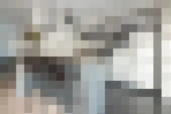Ambrosius van Ommerenlaan 78 Barneveld thumbnail 11