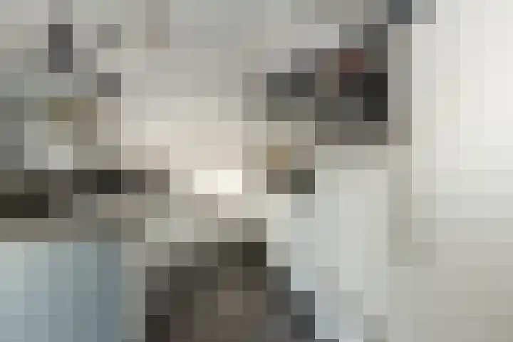 Ambrosius van Ommerenlaan 78 Barneveld thumbnail 12