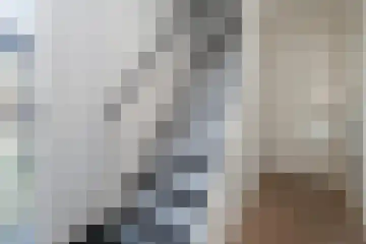 Ambrosius van Ommerenlaan 78 Barneveld thumbnail 18