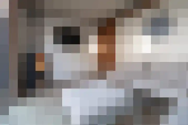 Ambrosius van Ommerenlaan 78 Barneveld thumbnail 36