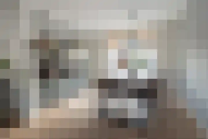 Ambrosius van Ommerenlaan 78 Barneveld thumbnail 7