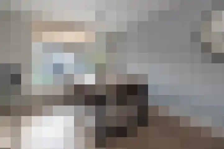 Ambrosius van Ommerenlaan 78 Barneveld thumbnail 9