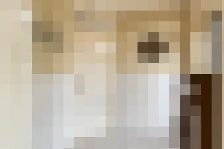 Ambrosiushof 19 Haarsteeg thumbnail 10
