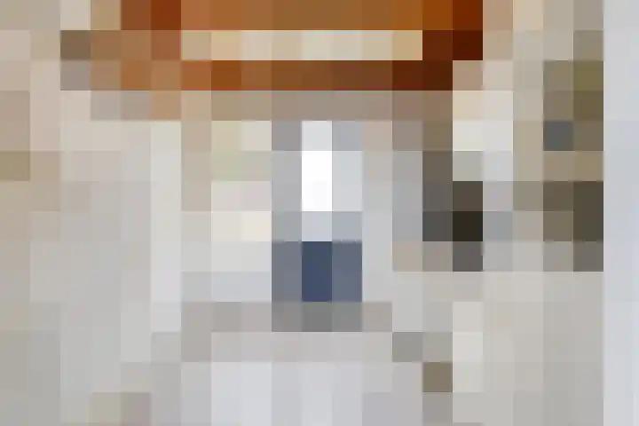 Ambrosiushof 19 Haarsteeg thumbnail 11