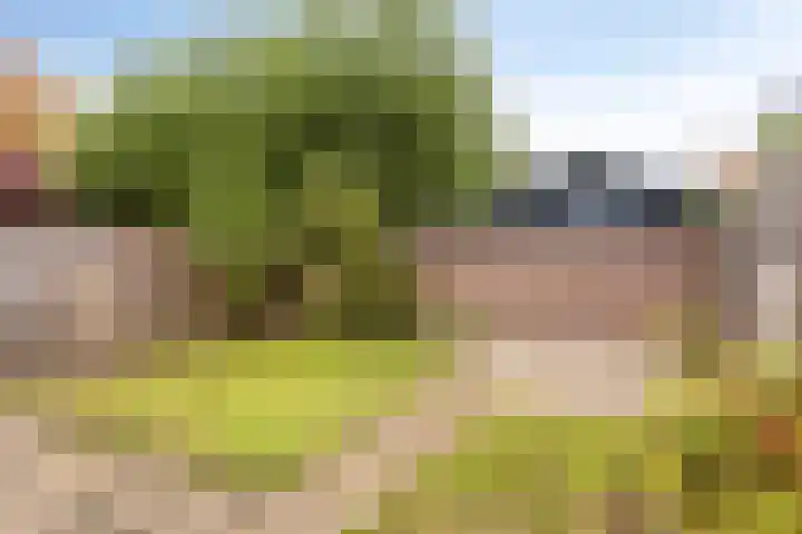 Ambrosiushof 19 Haarsteeg thumbnail 12