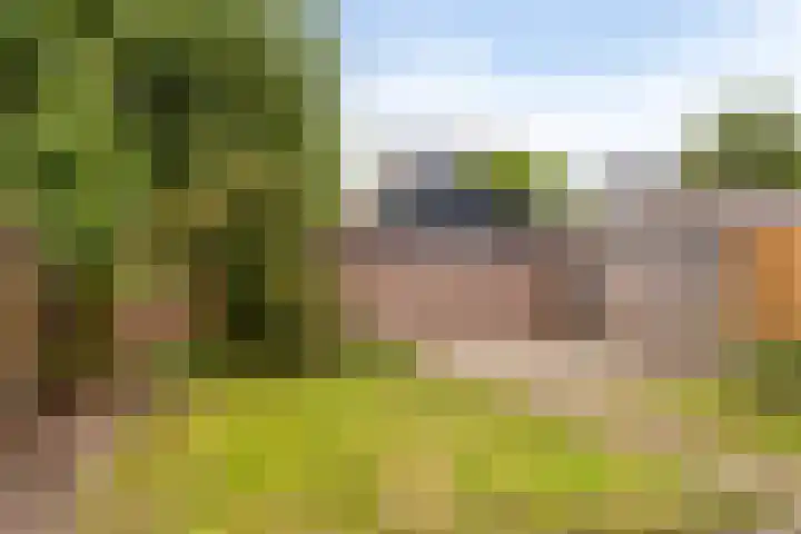 Ambrosiushof 19 Haarsteeg thumbnail 13