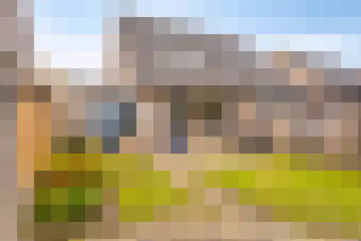 Ambrosiushof 19 Haarsteeg thumbnail 14
