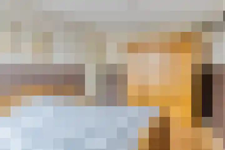Ambrosiushof 19 Haarsteeg thumbnail 16