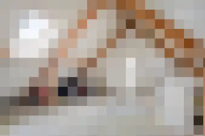 Ambrosiushof 19 Haarsteeg thumbnail 21