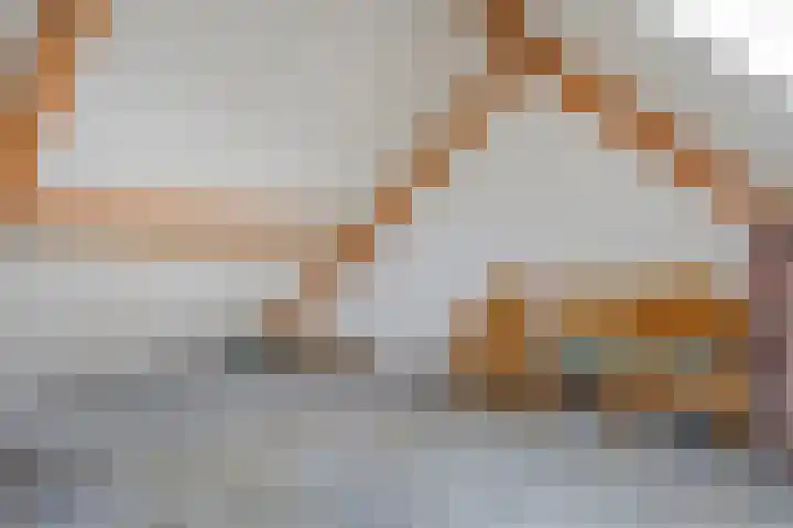 Ambrosiushof 19 Haarsteeg thumbnail 22
