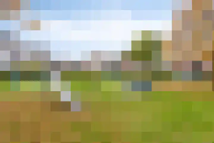 Ambrosiushof 19 Haarsteeg thumbnail 24