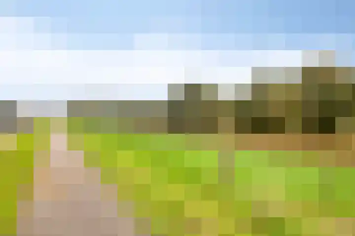 Ambrosiushof 19 Haarsteeg thumbnail 25