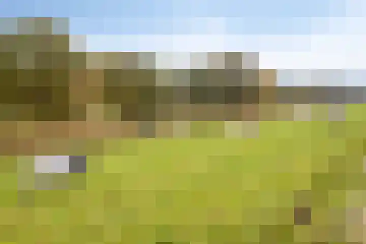 Ambrosiushof 19 Haarsteeg thumbnail 26
