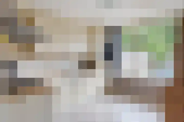 Ambrosiushof 19 Haarsteeg thumbnail 7