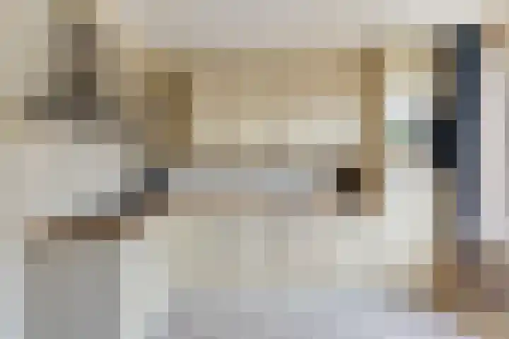 Ambrosiushof 19 Haarsteeg thumbnail 8