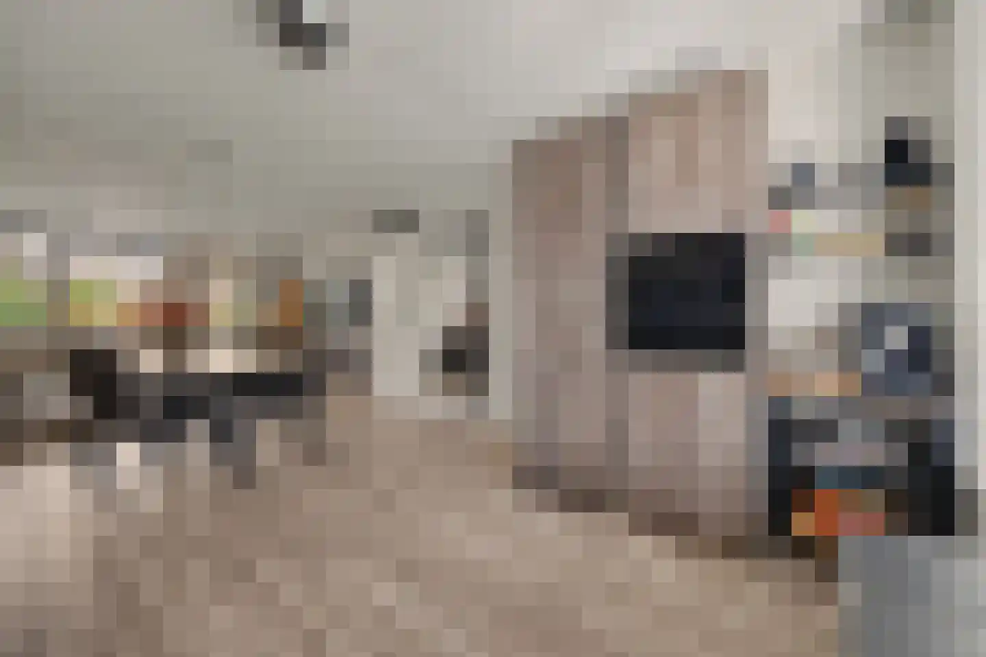 Ambrosiushof 31 Haarsteeg thumbnail 12