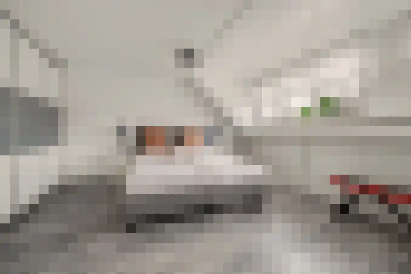Ambrosiushof 31 Haarsteeg thumbnail 15